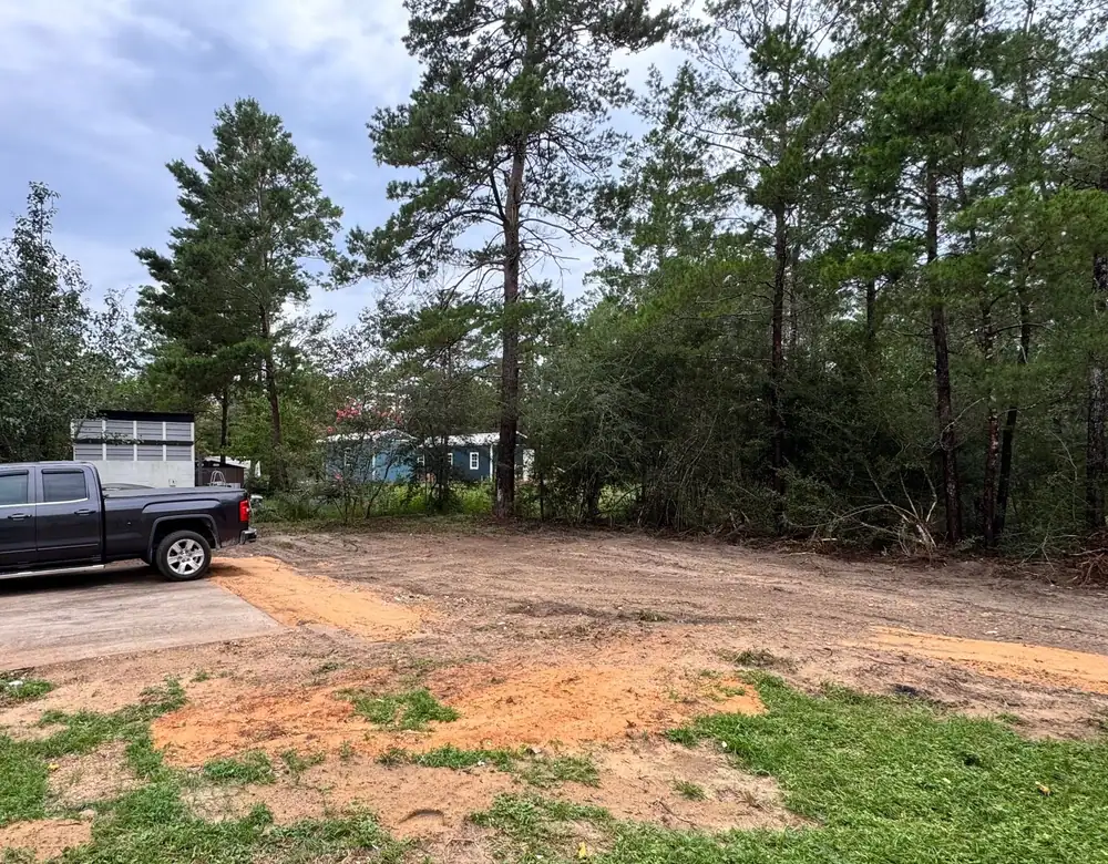 Cleared lot beside a concrete driveway with pines left standing along the edge