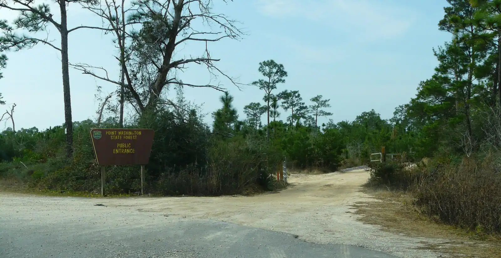 Sandy road into Point Washington State Forest off CR 283 near Santa Rosa Beach, FL